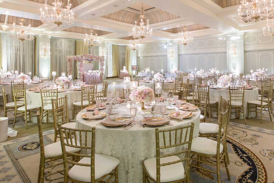 ARTA SUR ANOVIĆ JASMINA